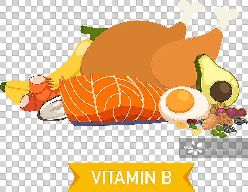 维生素B的食物来源图片素材
