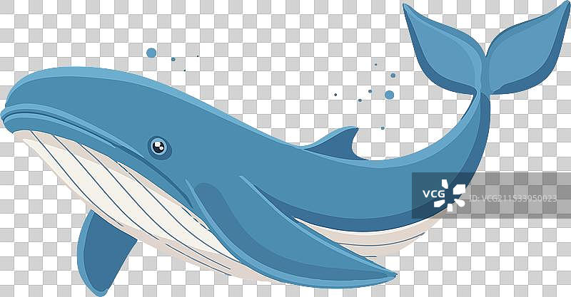 孤立的平面鲸鱼图片素材