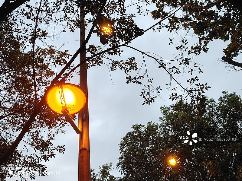 夜空照明路灯的低角度视图图片素材
