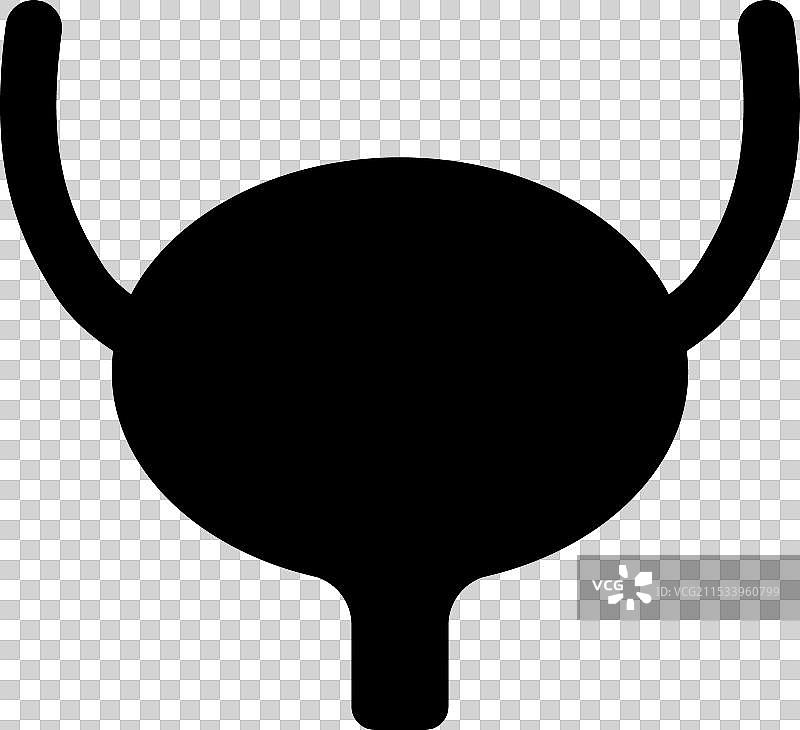 泌尿系统健康人类图标解剖医学身体图片素材