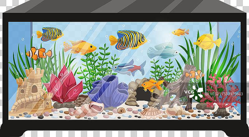 卡通水族箱图片素材