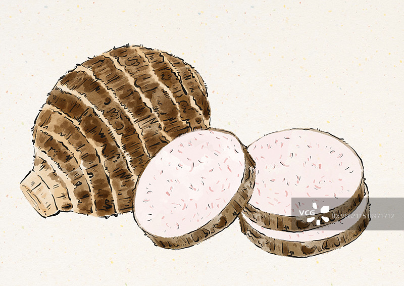 国潮风杂粮农作物插画-荔浦芋头图片素材