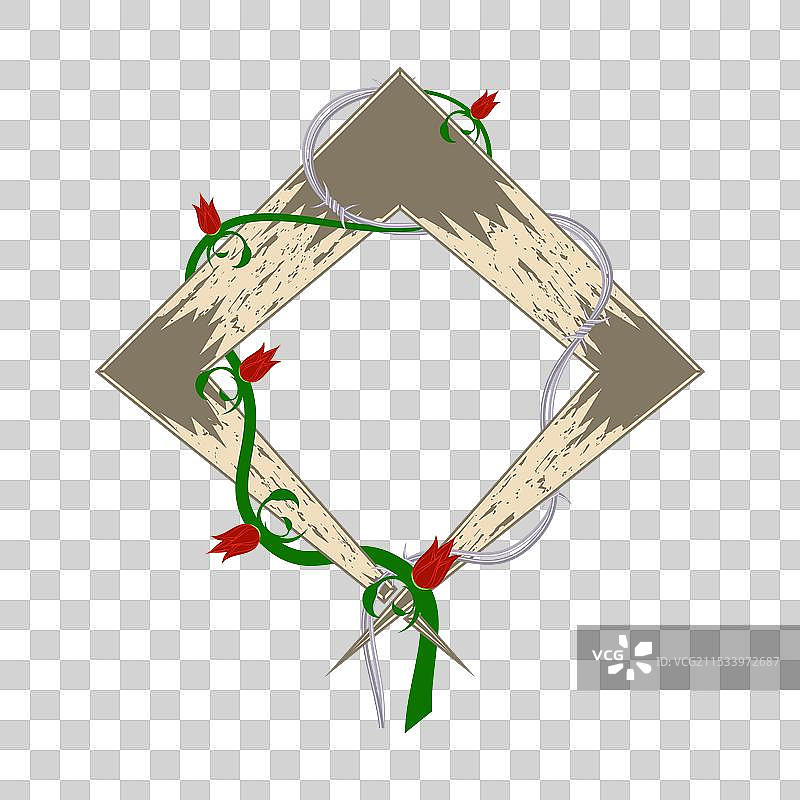 草 2023图片素材