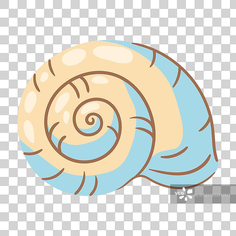 热带水下的海贝壳图片素材