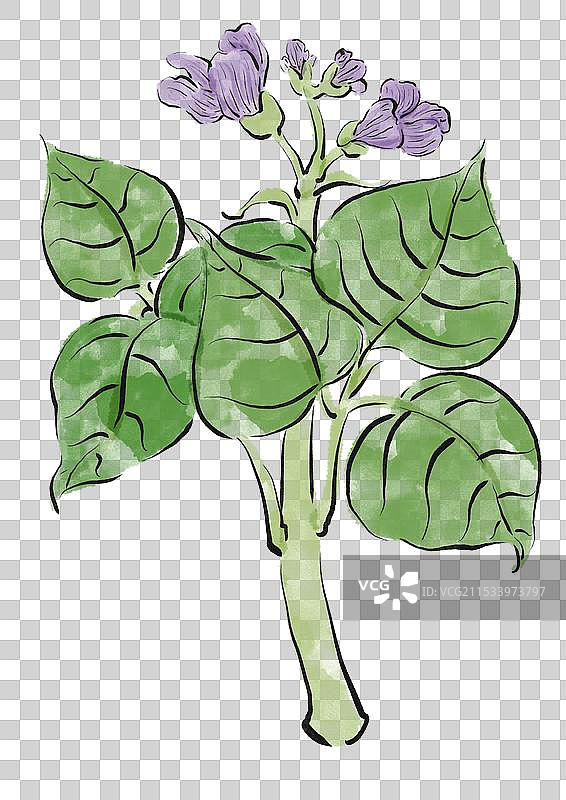 国潮风杂粮插画元素-大豆图片素材