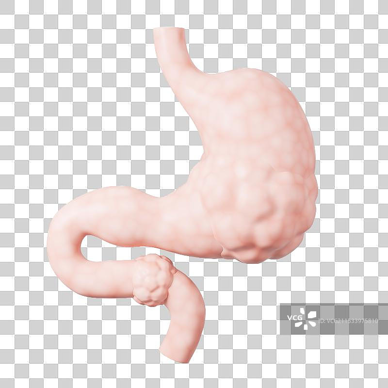 消化系统人体胃元素3D渲染图片素材