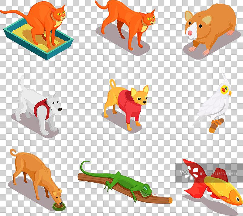 宠物店等距图标集图片素材