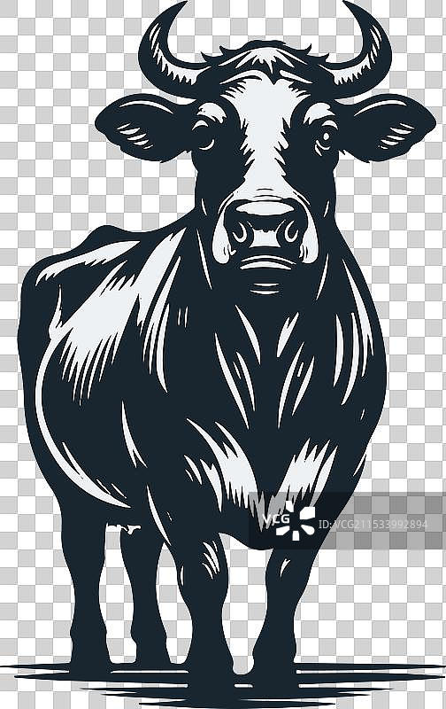 牛的轮廓形状设计图片素材