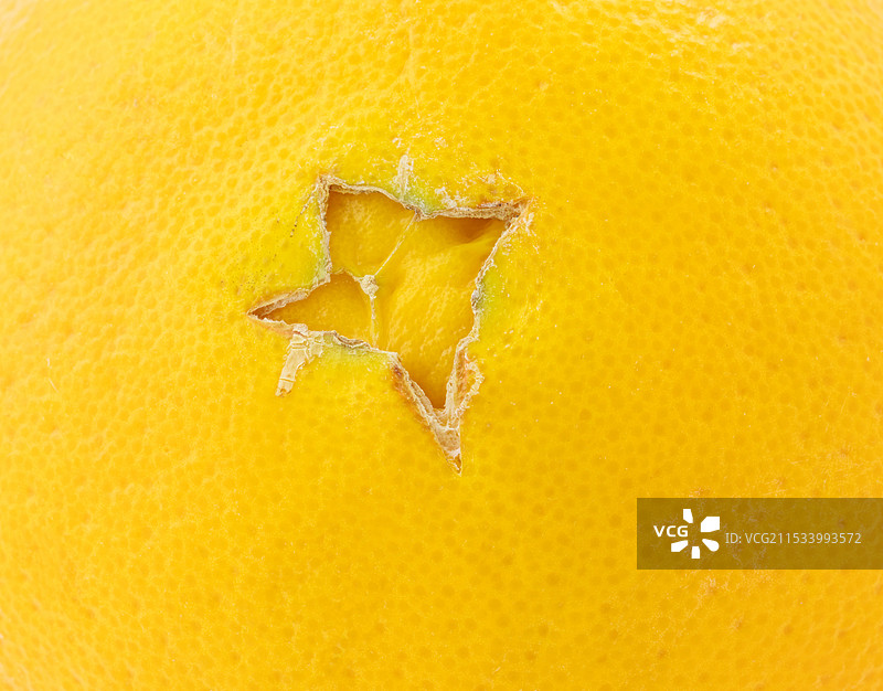 新鲜的澳洲橙子皮纹理特写镜头图片素材