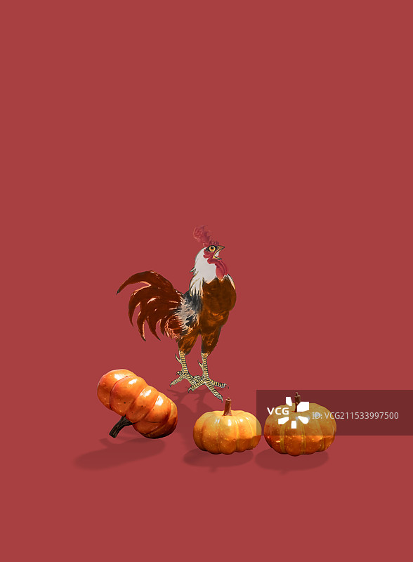 柿子与公鸡，事事如意，大吉大利图片素材