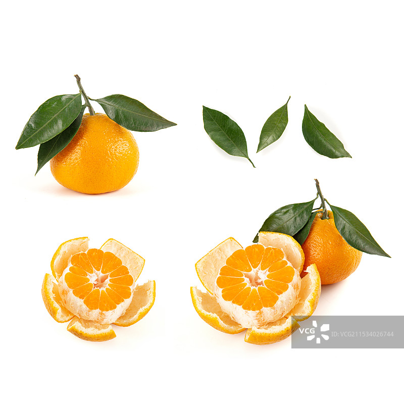 新鲜的丑橘孤立在白色背景上图片素材