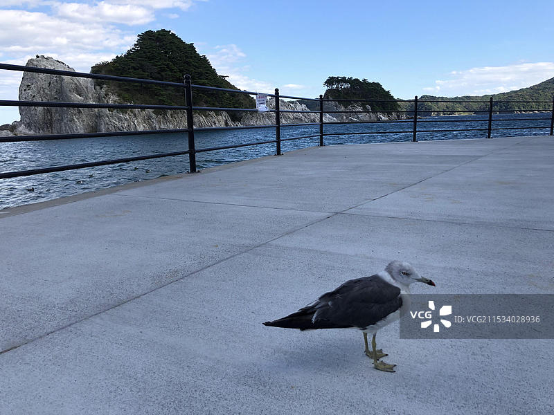 日本岩手县净土之滨被誉为“极乐净土”地方图片素材