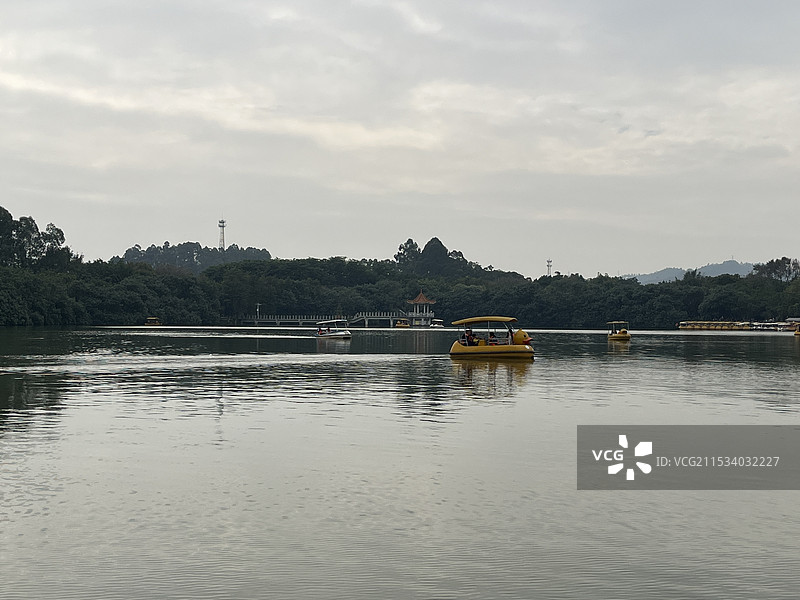 广州冬天的大夫山森林公园图片素材