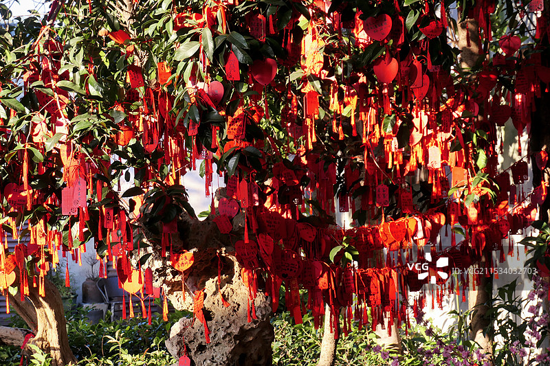 庙会祈愿，树上绑满了红色的祈愿牌，祝福祈愿图片素材