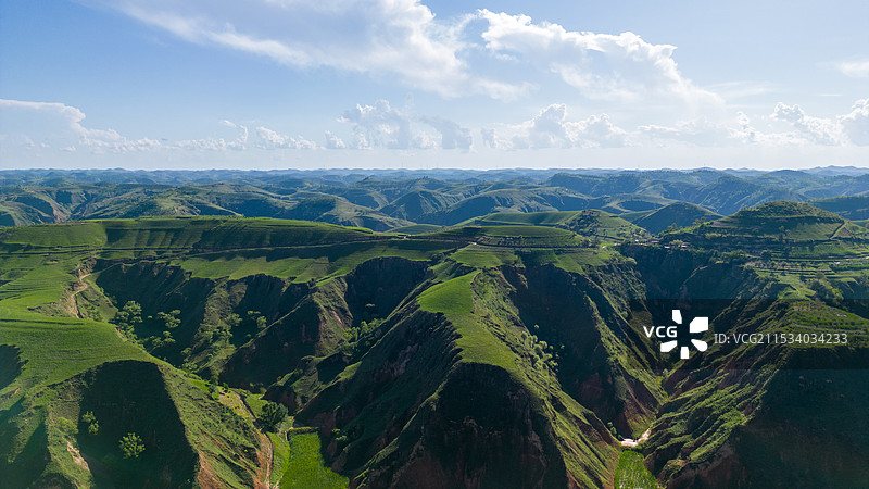 黄土高原退耕还林图片素材