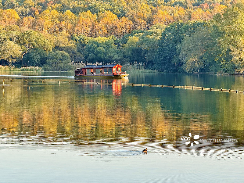 西湖秋色图片素材