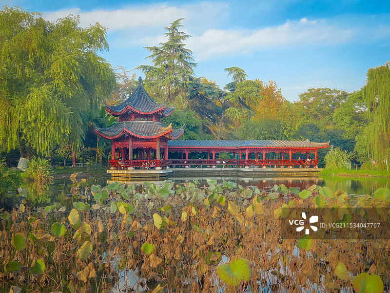 “长沙橘子州头亭”图片素材