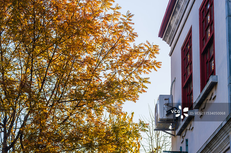 南通博物院的秋天（原南通农科大学校舍）图片素材
