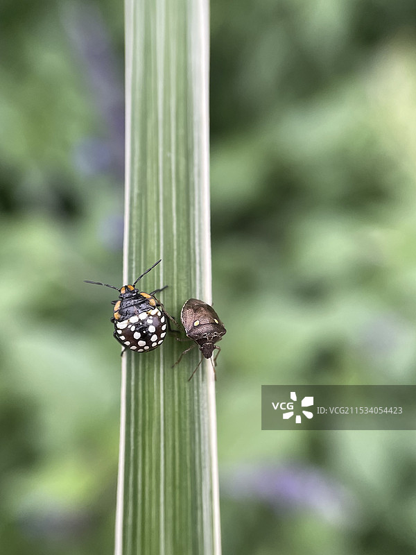 擦肩而过图片素材