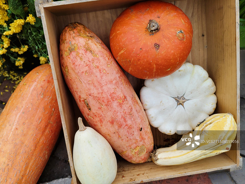 盒子里的南瓜 设计素材图片素材