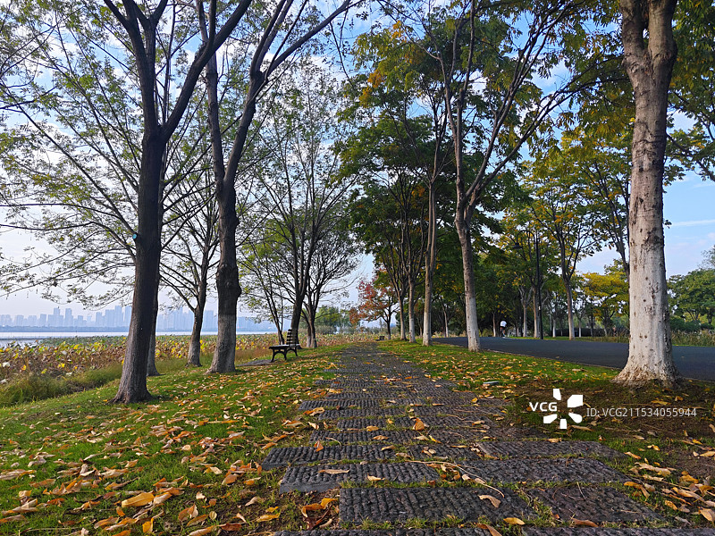 东湖绿道的秋天图片素材