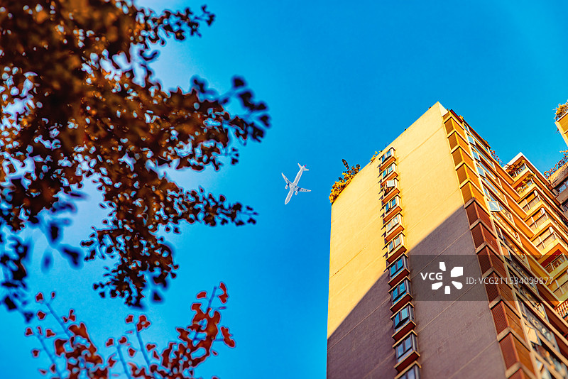 秋叶间穿梭的飞机图片素材