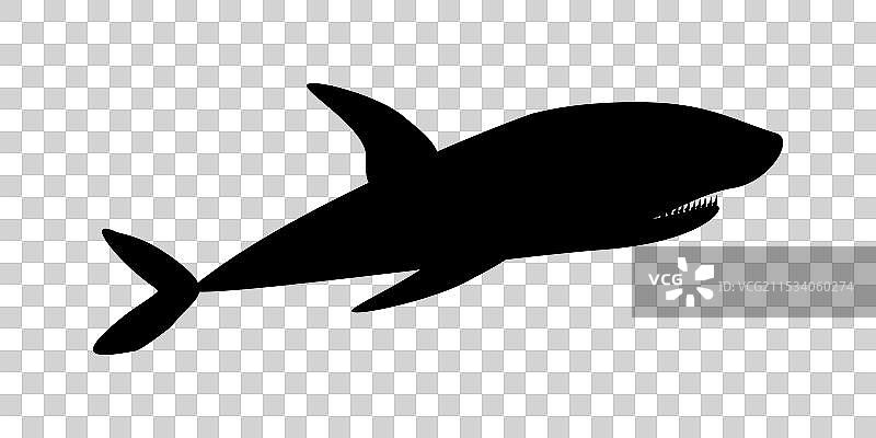 黑色鲨鱼海洋动物的轮廓图片素材