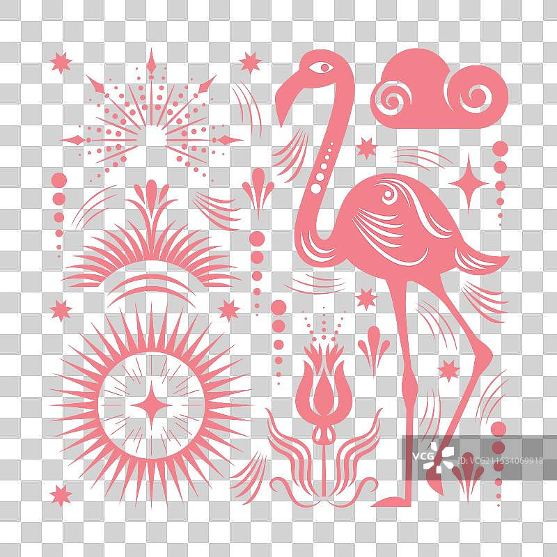 与火烈鸟和装饰元素图片素材