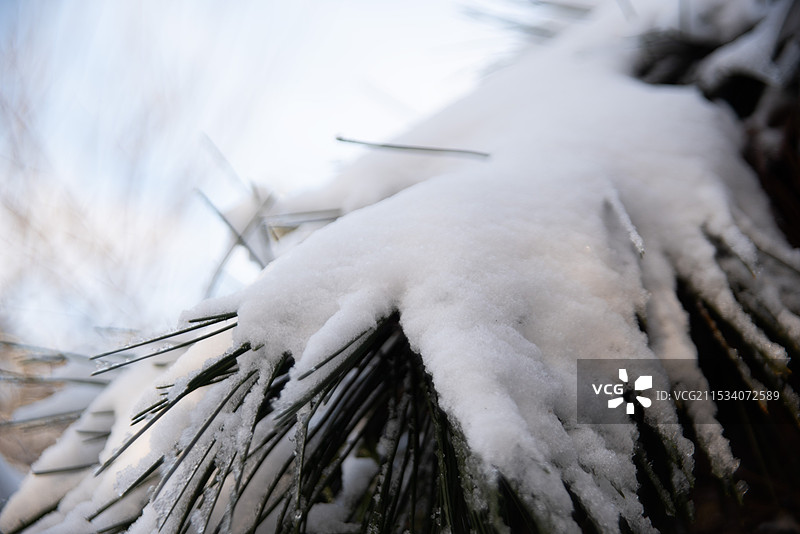 冬天雪景雪冬天小雪图片素材