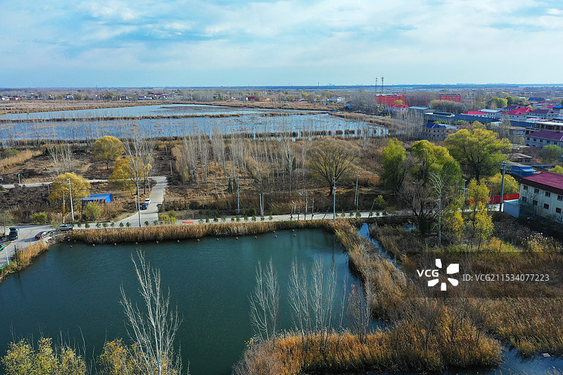 华北明珠白洋淀。冬季风光空气鲜赵庄子图片素材
