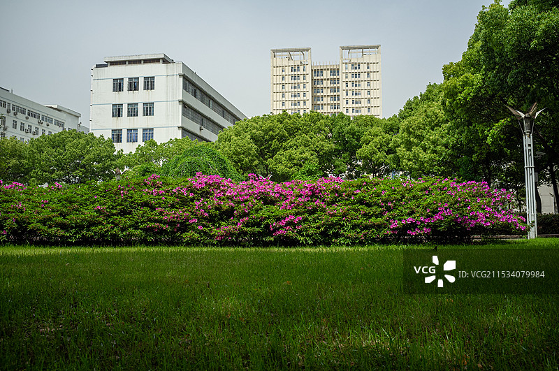 湖北大学校园图片素材