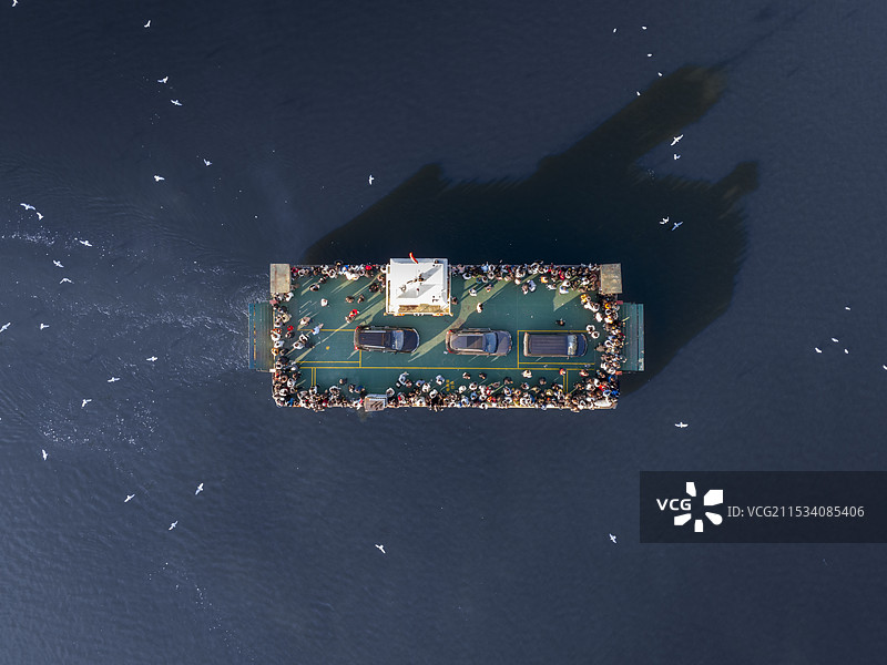 天津塘沽滨海新区 老码头 大梁子渡口 海鸥 航拍图片素材