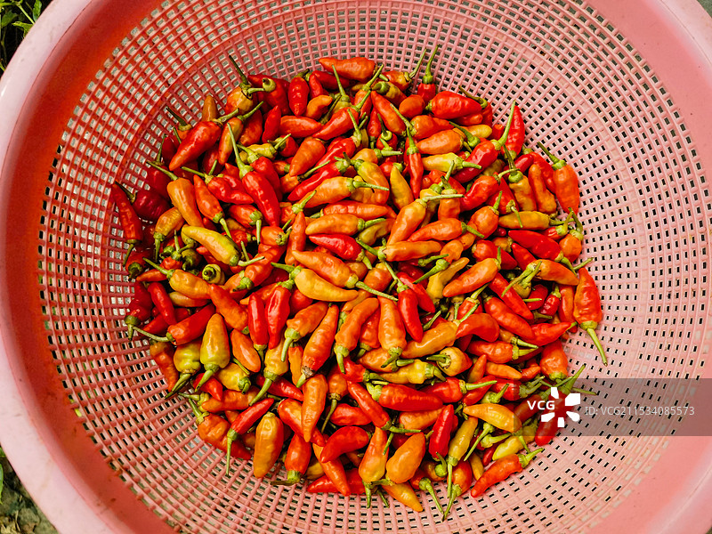 篮子里的小米椒图片素材