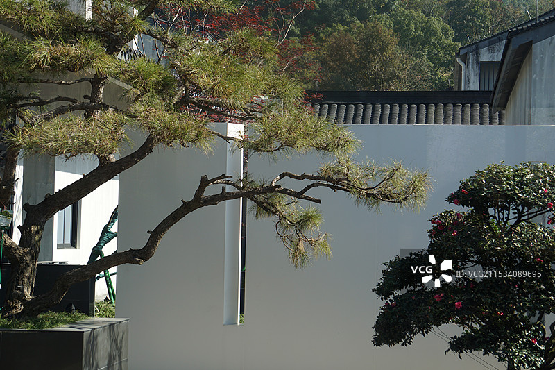 茶室院子图片素材