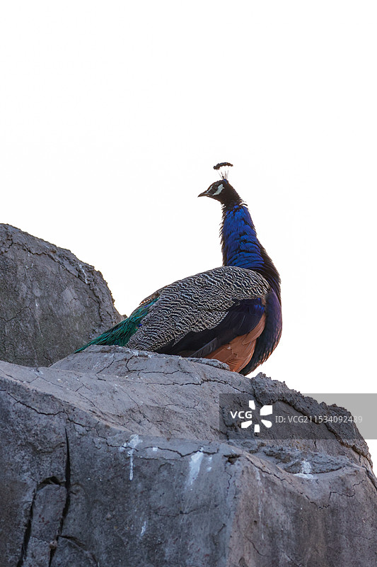 日照浮来青旅游度假区图片素材