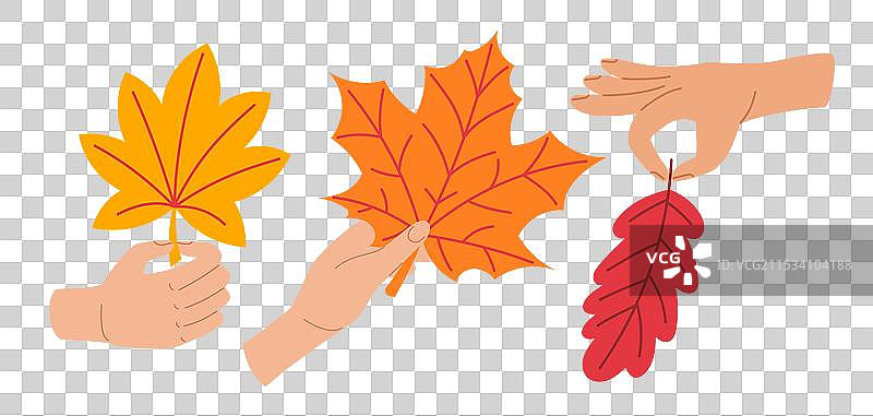 手握秋天的树叶，秋季温馨设计图片素材