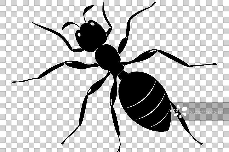 蚂蚁剪影图片素材