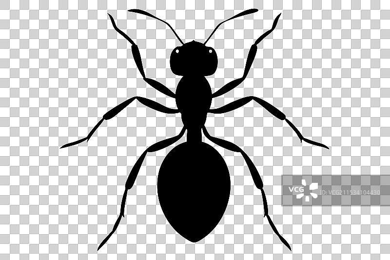 蚂蚁剪影图片素材