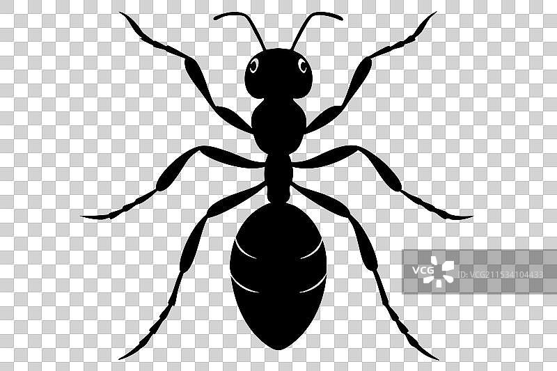 蚂蚁剪影图片素材