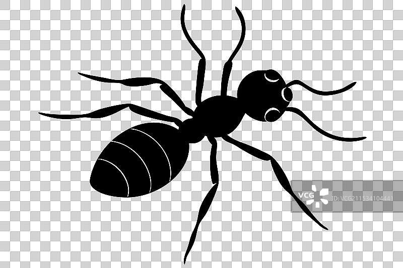 蚂蚁剪影图片素材