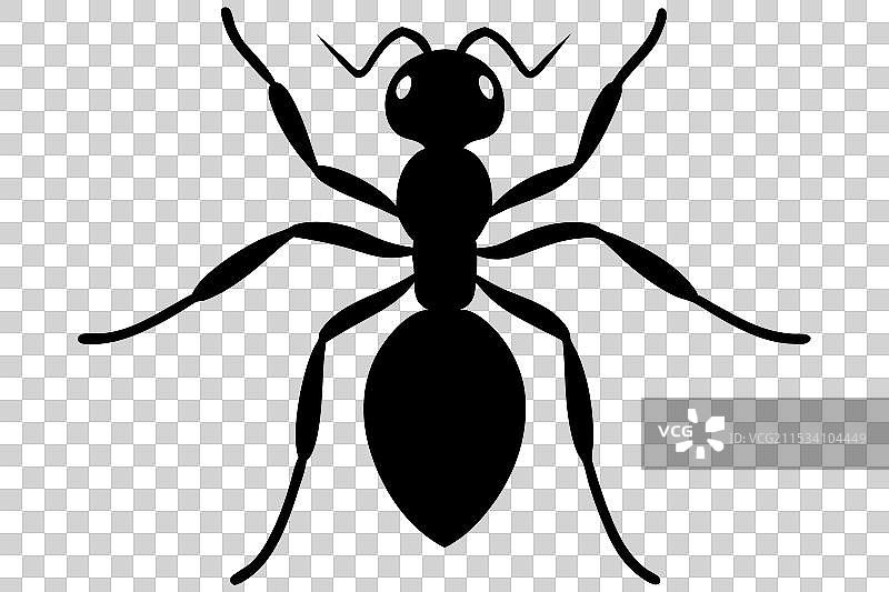 蚂蚁剪影图片素材