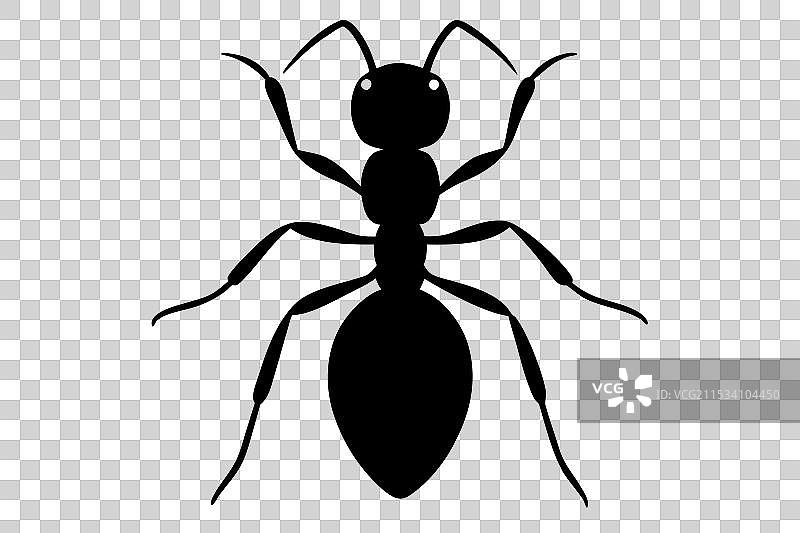 蚂蚁剪影图片素材