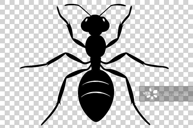 蚂蚁剪影图片素材