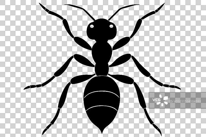 蚂蚁剪影图片素材