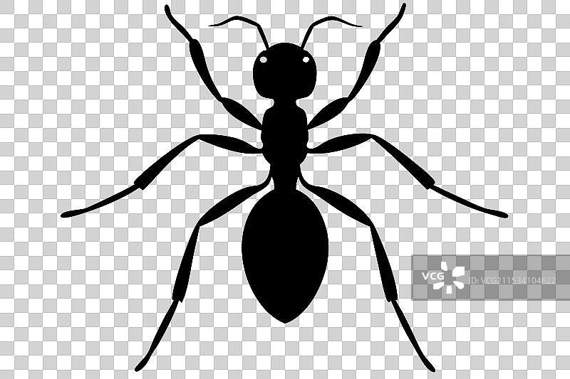 蚂蚁剪影图片素材