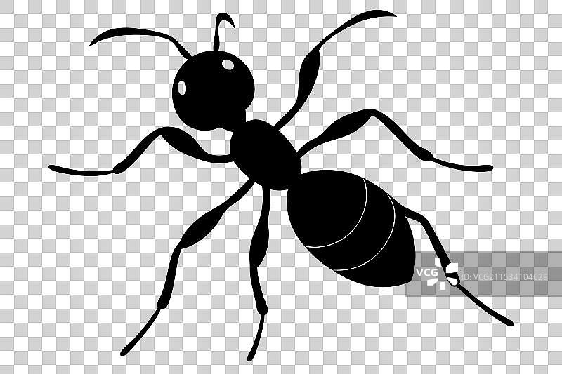 蚂蚁剪影图片素材