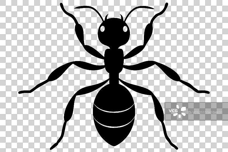 蚂蚁剪影图片素材