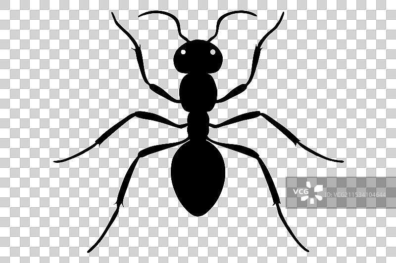 蚂蚁剪影图片素材