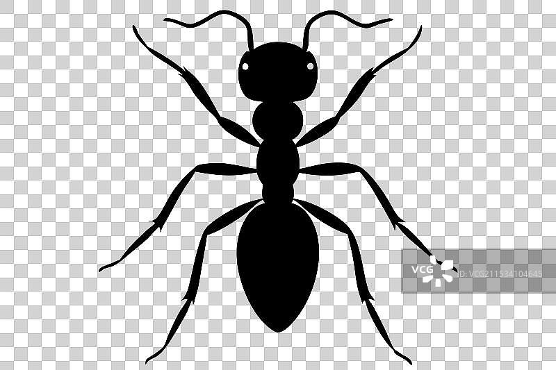 蚂蚁剪影图片素材