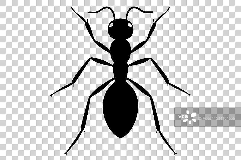 蚂蚁剪影图片素材